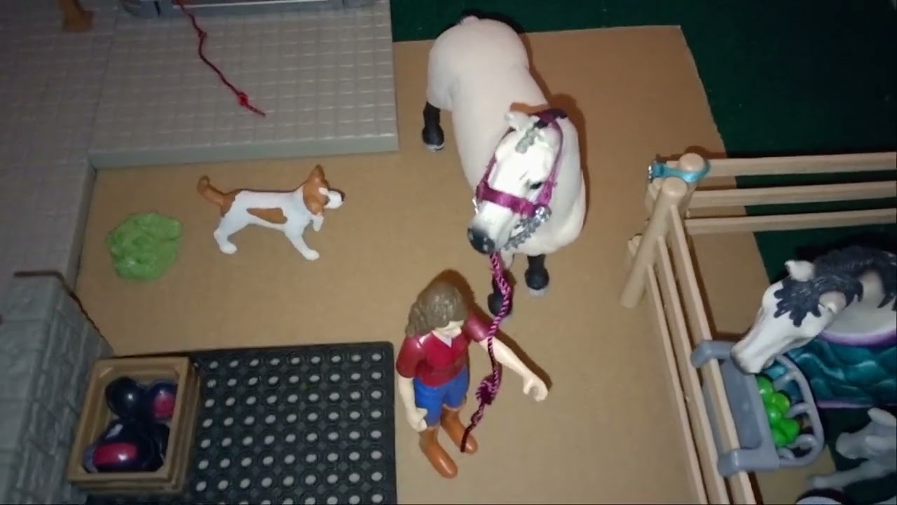 Tallin esittely video 2025🐎❤️