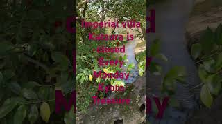 Imperial Villa Of Katsura Is Closed Every Monody