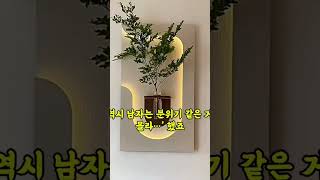 액자인 줄 알았죠? 사실은 공기정화 화분임 #공기정화화분 #플랜테리어 #홈데코 #LED조명