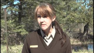 Controlling the Sea Lamprey population