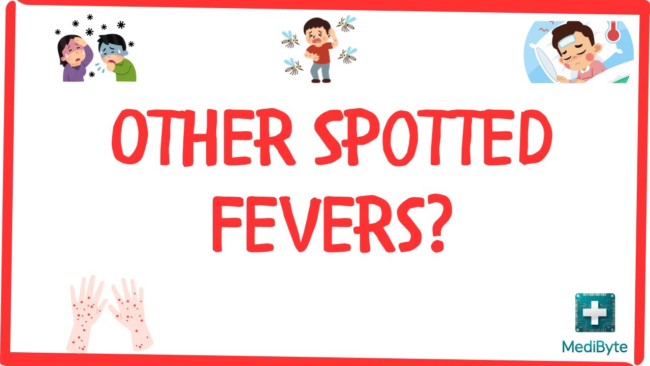 What are Other Spotted Fevers?