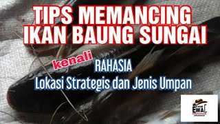 Secret Tips For Fishing Baung Fish