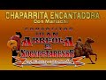 Chaparrita encantadora con mariachi juan arreola el nocupetarense