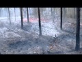 Tree Camera Fire Time-lapse - The Nature Conservancy