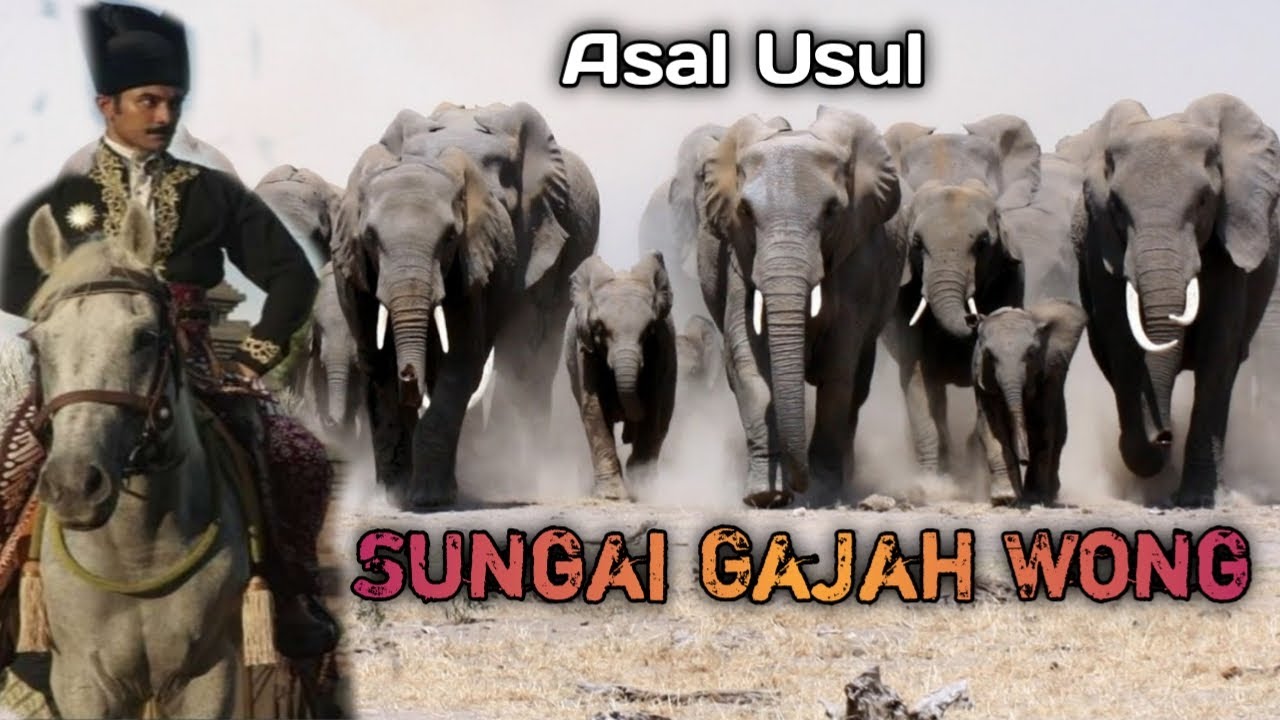 ASAL USUL SUNGAI GAJAH WONG~CERITA RAKYAT YOGYAKARTA