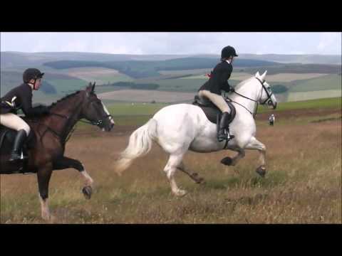 Border Festivals & Common Rides 2012