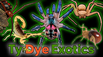 BLACK FRIDAY UNBOXING! Tarantula, Centipede, Scorpion, Spider, Beetles, Isopods and MORE!