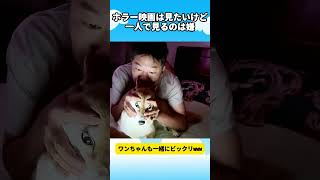 ホラー映画は見たいけど一人で見るのは嫌