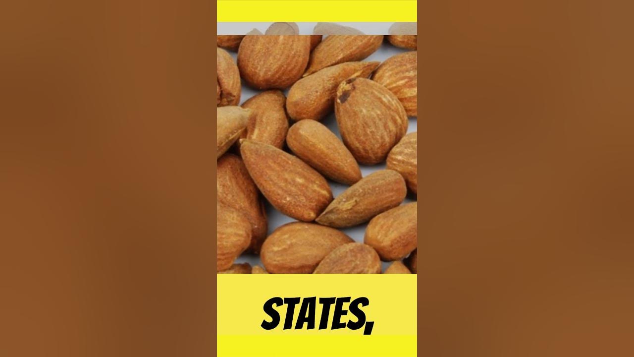 What Country Produces The Most Almonds! food foodfacts foodie shorts youtubeshorts almonds