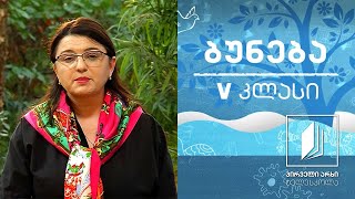 ბუნება, V კლასი - საქართველოს ტყეები; წითელი წიგნი #ტელესკოლა