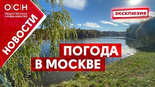 Погода в Москве