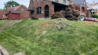 TIME-LAPSE YARD WORK