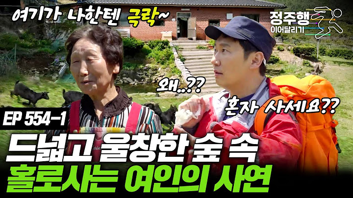 동화책에서 튀어나온 줄...울창한 숲속 홀로 사는 여인의 사연 #정주행_이어달리기 #정주행_이어달리기 #나는자연인이다 554-1