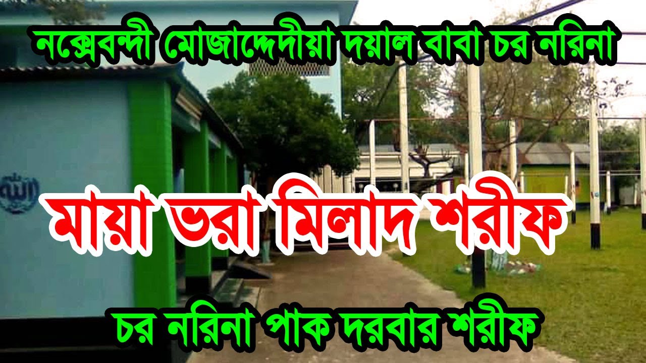 নক্সেবন্দী মোজাদ্দেদীয়া দয়াল বাবা চর নরিনা | চর নরিনা পাক দরবার শরীফ | Chor Norina Milad