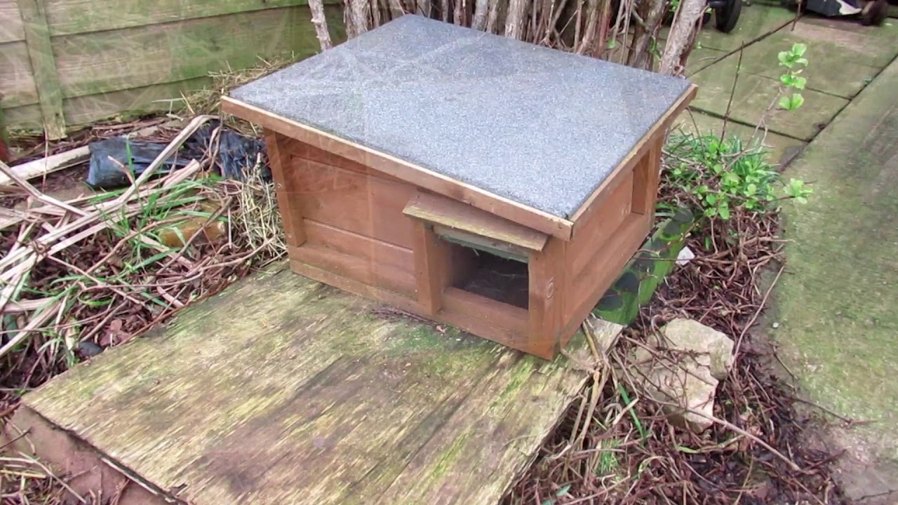 HedgeHog Box Review and Why I've Not Been Metal Detecting YouTube