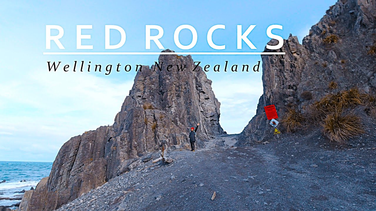 [4K] Red Rocks Wellington/Scenic drive to Te Kopahou Visitor centre ...