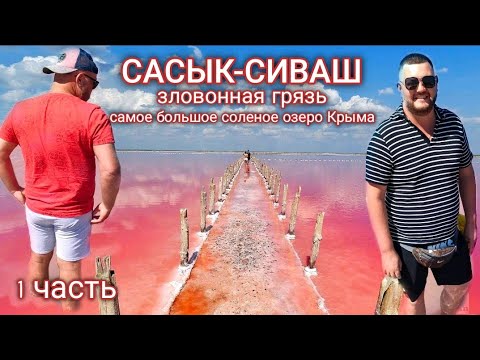 САСЫК-СИВАШ. САМОЕ БОЛЬШОЕ РОЗОВОЕ СОЛЕНОЕ ОЗЕРО КРЫМА. (1 часть).