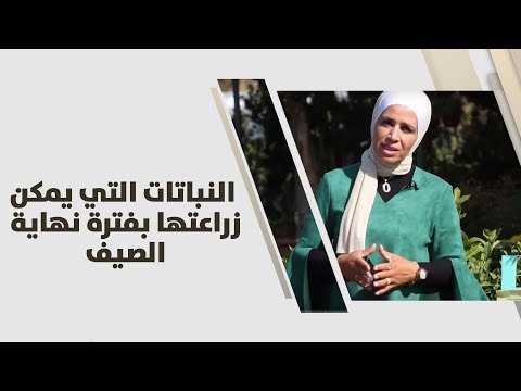 فيديو: ما النباتات لا يمكن زراعتها مع بعضها البعض