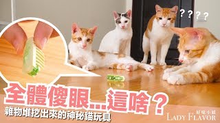 貓咪傻眼的貓玩具什麼東西呀【好味貓日常】EP19