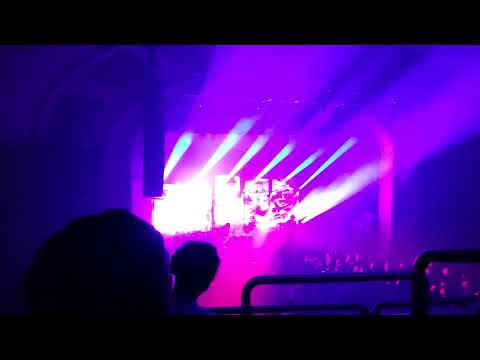 Primus - Wynona's