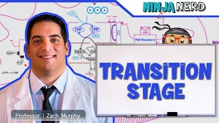 Metabolism | Transition Stage (Preparatory Phase)