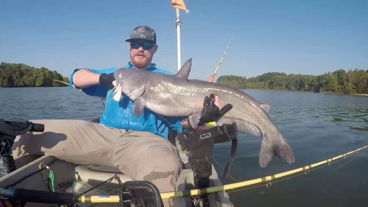 Largest catfish ever caught on kayak while fishing Kerr Lake September