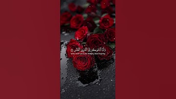 سورة غافر ✨ عبد الرحمان السديس