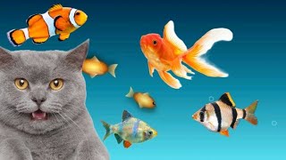 CAT GAMES Catching Fish! Entertainment Video For Cats - Cats Go Crazy! screenshot 3