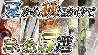 【 良い魚 ランキング 】 夏から秋 にかけて 旨い魚 5選 【 目利き ・ せり人ムタロー 】