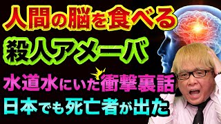 人間の脳を食べる殺人アメーバ、水道水にいた裏話【日本にも】中国で超ヤバい細菌が漏れていた、新型インフルエンザを政府が警告