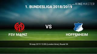 Preview Match Fsv Mainz - Hoffenheim