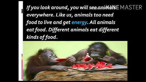 Class 3_Ch-9 FOOD FROM PLANTS AND ANIMALS (Reading session -7 )by Aarushi Jain