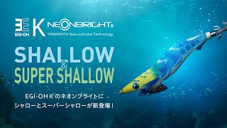ネオンブルーアマゾナイトシリカ クンツァイト etc. DICATA Intrinsically Safe Low-Profile Dual-Light Headlamp