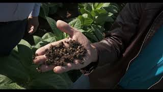 Aganorsa Farms Nicaragua Informative Video