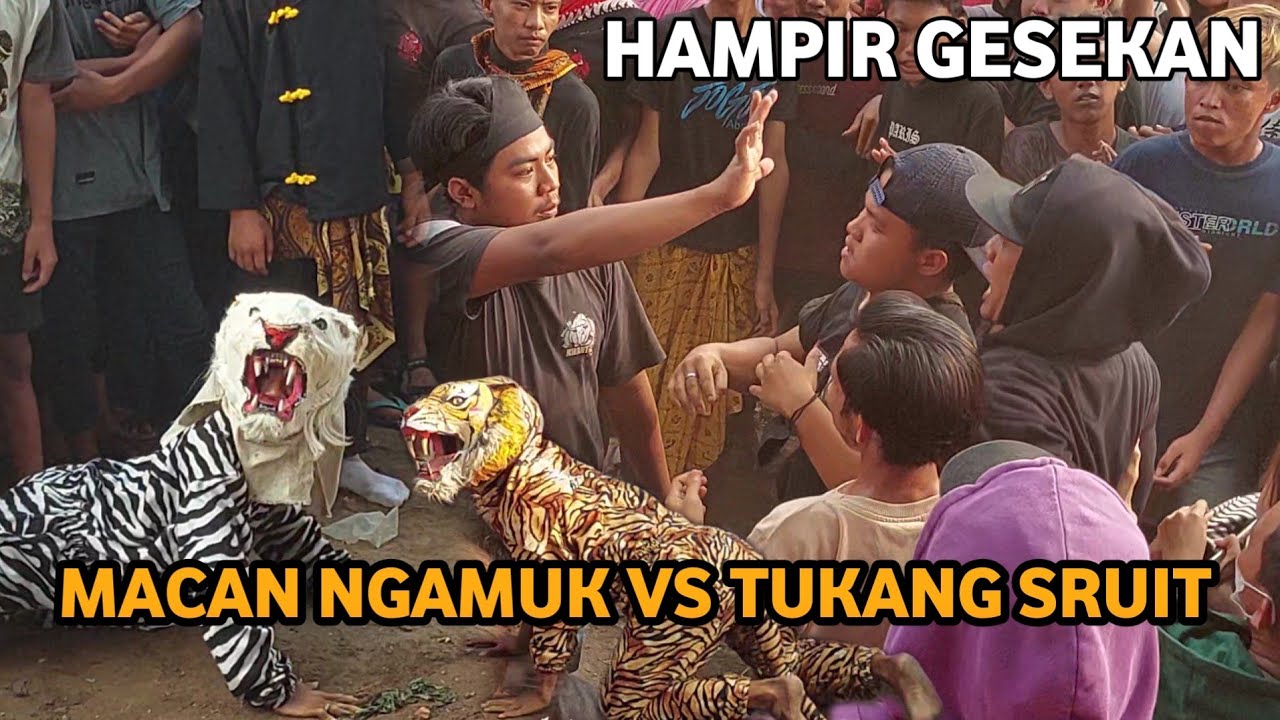 Macan Ngamuk Vs Tukang Sruit Bantengan Putro Dewi Sekar Arum Live Mojoroto Bangsal Mojokerto