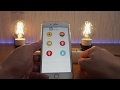 Yeelight Smart LED Filament Bulb E27 Brightness Adjustable Energy Saving