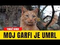 Moj lepi in simpatičen Garfi je umru 😢