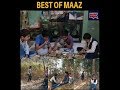 Best of maaz  must watch best funny comedys  sarcastic noor