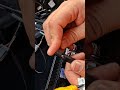 Pantalla En Toyota CHR - Tamscar Audio