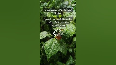 تشبث بالامل  !! ..تدبر القران الكريم #تدبر #تلاوة #قرآن #القرآن_الكريم #تدبر_آية