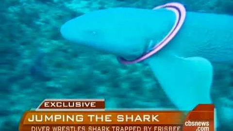 Diver Wrestles Frisbee-Trapped Shark