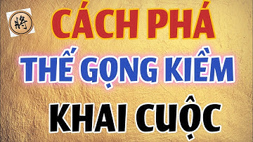 Bài 13 : Khai Cuộc Lợi Hại Pháo Phong Tỏa Của Bình Phong Mã Cờ Tướng