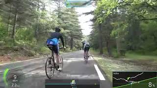 Id asperiores ab 8000051