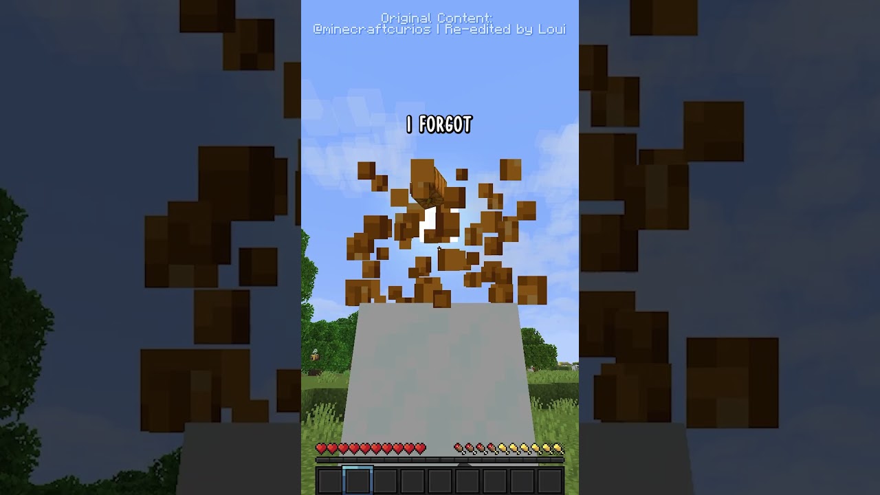 Infinite Blocks in Minecraft - Edit Study