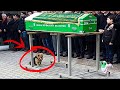 犬は飼い主の葬列に参加しました。その後起きたことに人々は唖然！