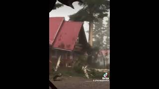 Fulgerul loveste copacul si il rupe in doua !