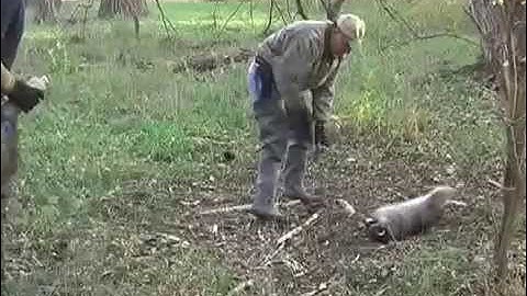 RUNNING HARD WITH THE GRIZ Clip