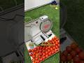 Tomato Slicer Machine | Round Shape Vegetable And Fruit Chopping Machine #tomato #slicer #ytshort