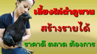 #เลี้ยงไก่ดำภูพานสร้างรายได้#ไก่เนื้อดำกระดูกดำไก่ดำภูพาน#ไก่ดำภูพานของแท้สกลนคร