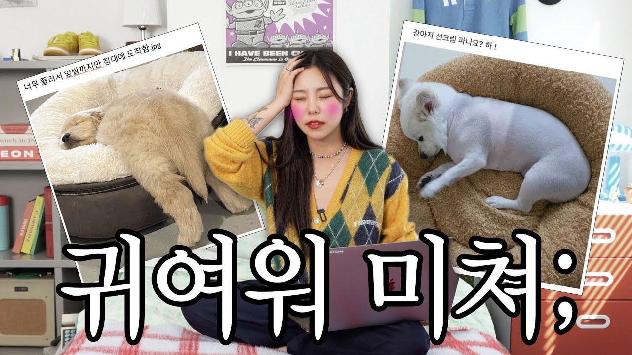 참아야하는데.. 못 참겠다 꾀꼬리.. | 귀여움 참기 챌린지